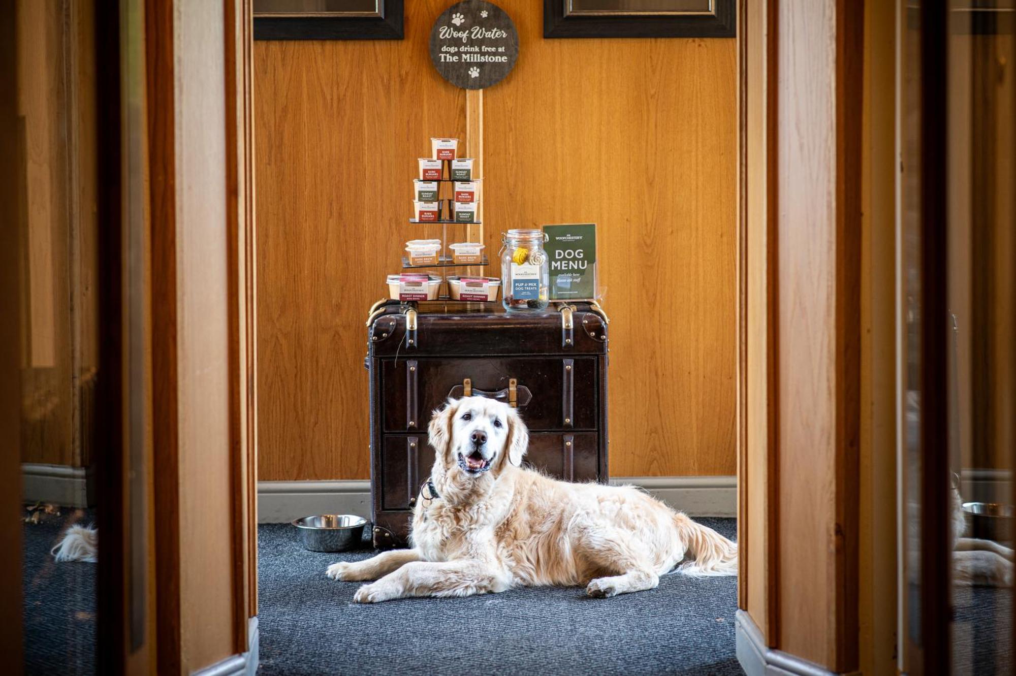 The Millstone, Mellor Hotel Blackburn  Exterior photo The Dog Room