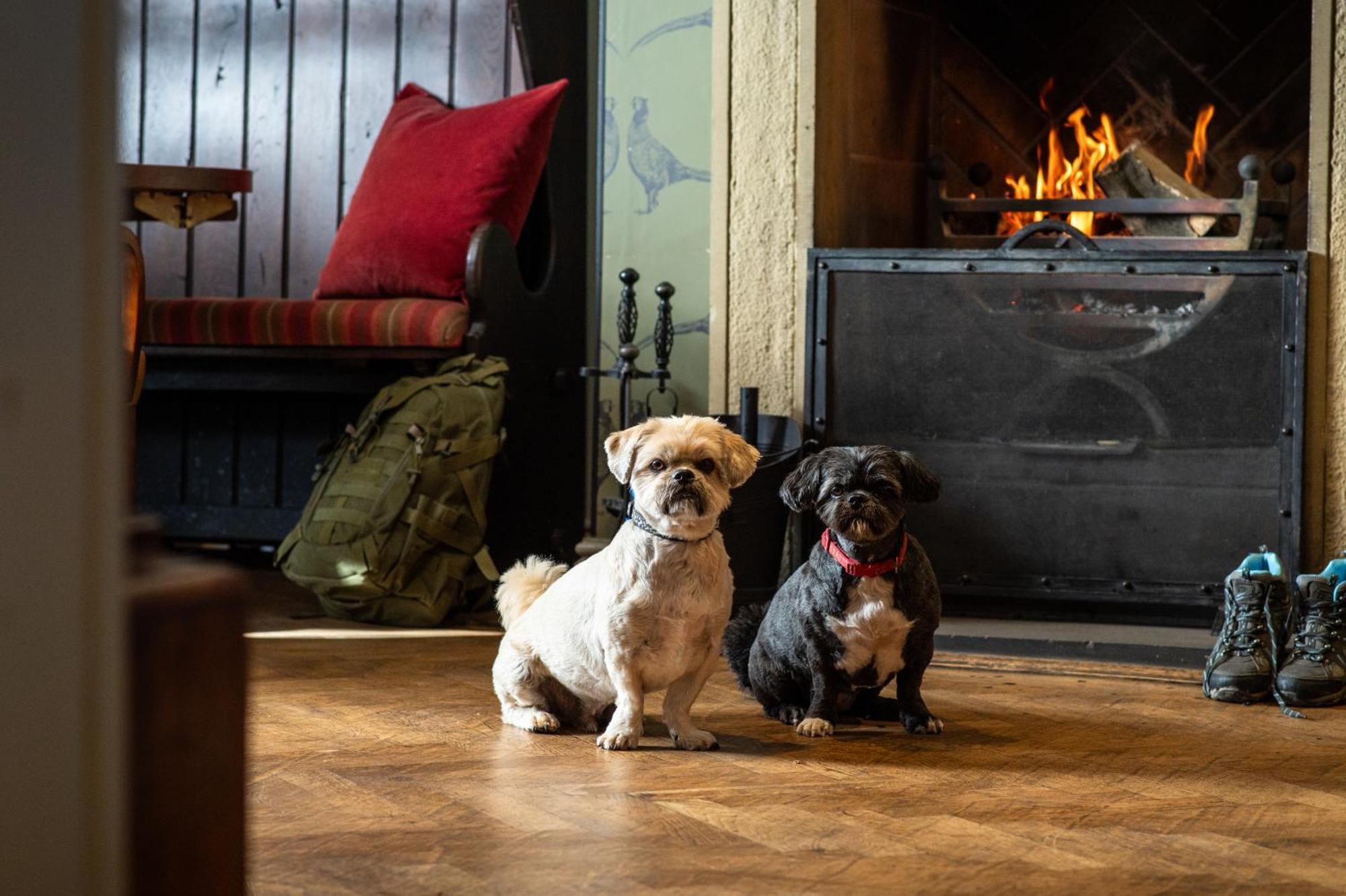 The Millstone, Mellor Hotel Blackburn  Exterior photo Dogs at the Inn